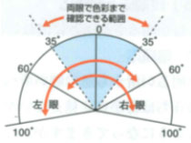両眼で色彩まで確認できる範囲