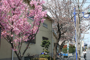 秋本武道館