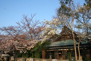 辻和光院