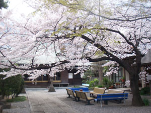 辻和光院