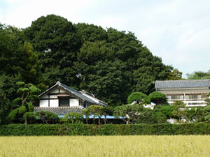 ふるさと再発見ーさいたま市桜区(旧大久保地区)