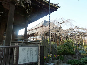 玉蔵院 節分会豆まき