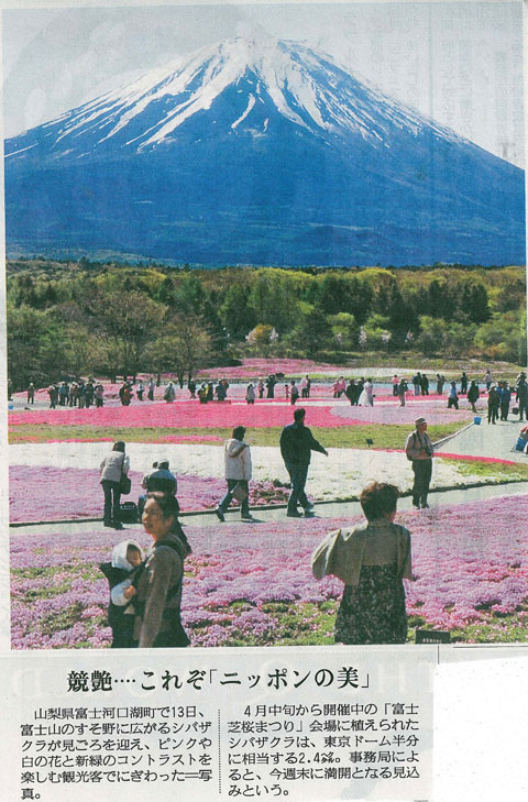 競艶・・・これぞ「ニッポンの美」