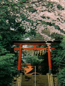 (二)古い歴史の氷川女体神社