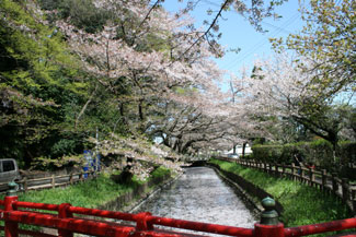 (二)古い歴史の氷川女体神社