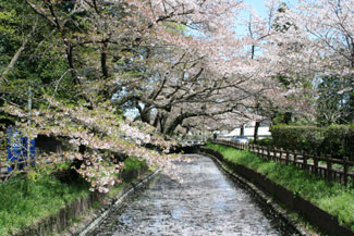(二)古い歴史の氷川女体神社