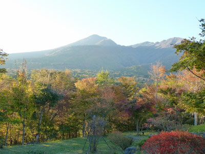2010年 晩秋の那須
