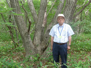 那須平成の森