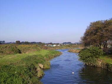 教習所前の冬の芝川