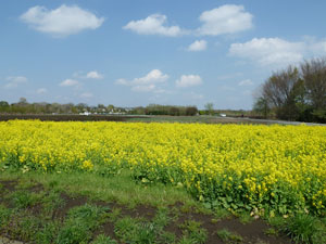 2012�N �t