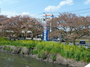 2012�N �t