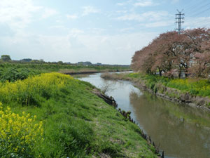 2012�N �t